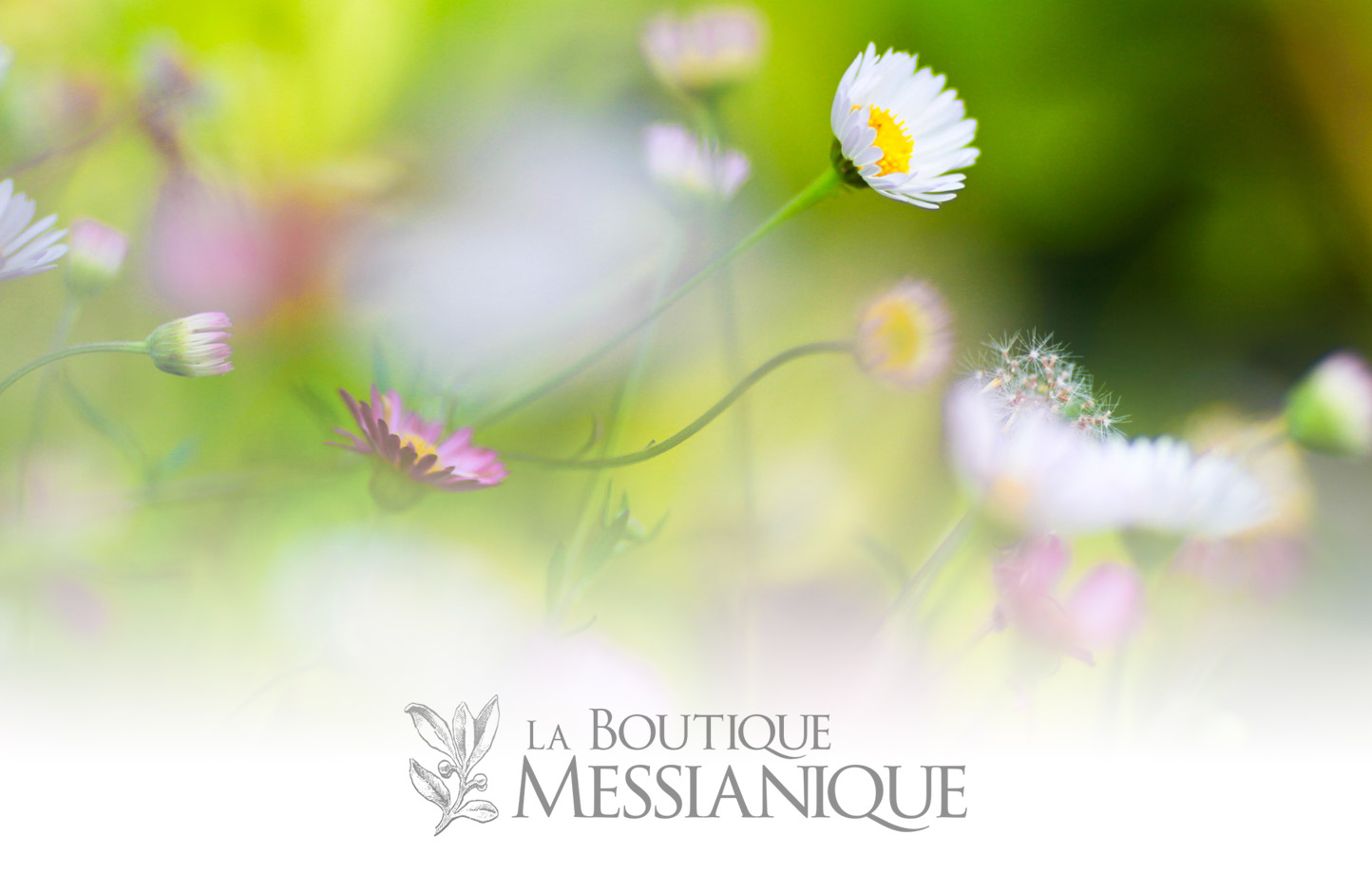 sublime-digital_boutique-messianique-logo-header