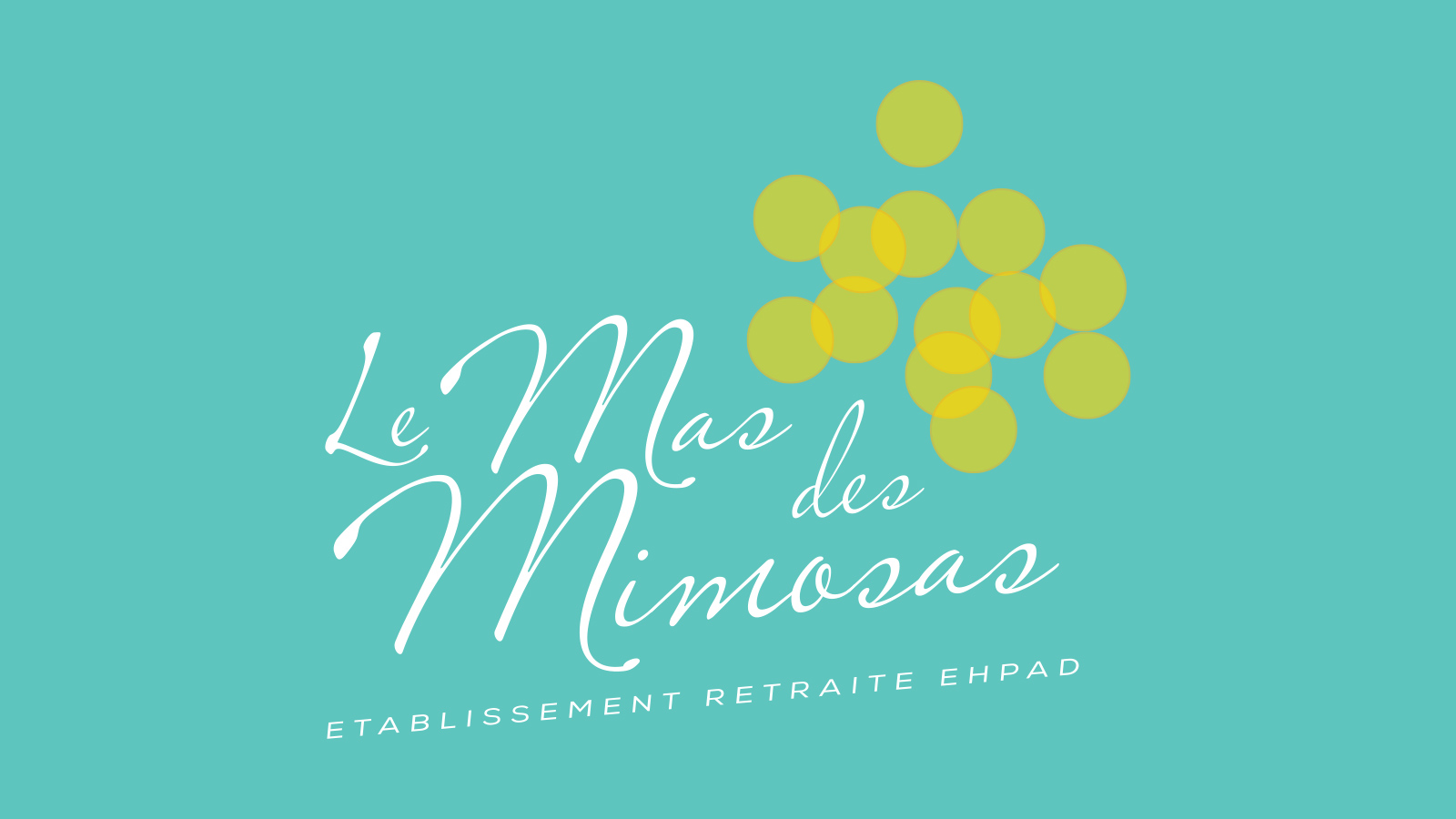 sublime-digital_branding_mas-mimosas-02